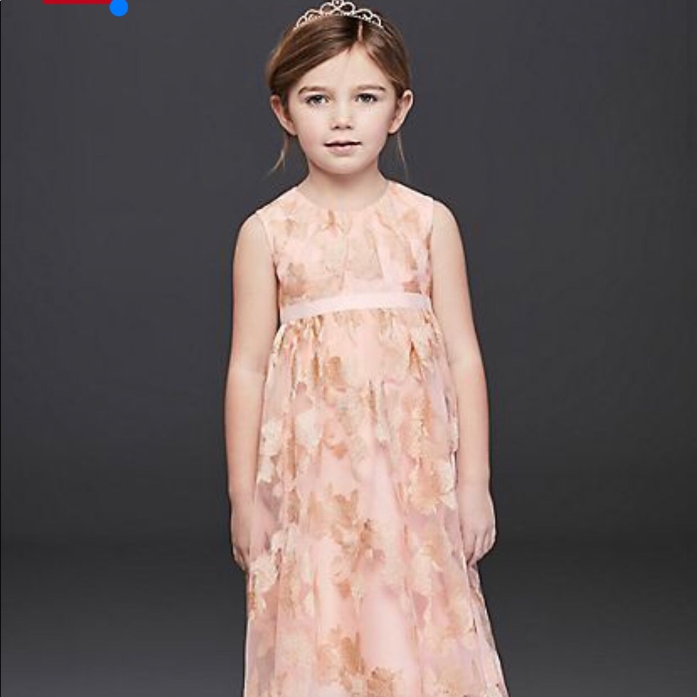 EUC David’s Bridal Pink Metallic Flower Girl Dress